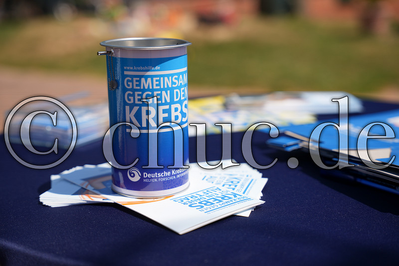 Gemeinsam gegen den Krebs, Herren 60 - Regionalliga Südwest - Ober-Mörler TC gegen TSG Backnang, Ober-Mörler, Ober-Mörler TC, 05.07.25