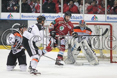 Suche Colonel Knight Stadion Chuc De Sportfotografie Und Mehr Aus Bad Nauheim