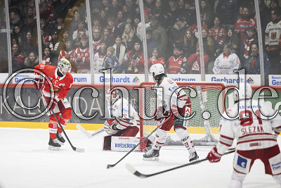 -91- Marc El-Sayed (EC Bad Nauheim) prüft -75- Jonas Neffin (Eisbären Regensburg), DEL 2 - EC Bad Nauheim gegen Eisbären Regensburg, Bad Nauheim, Colonel-Knight-Stadion, 12.12.25